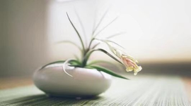 დ释怀დ主播照片