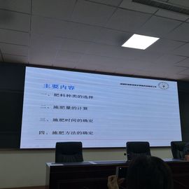 ▄︻┻┳━•主播照片