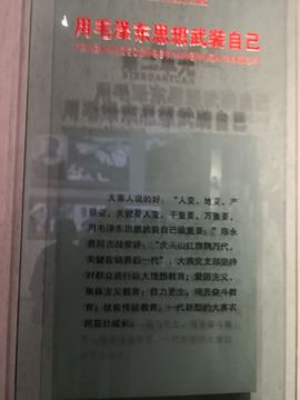 ▄︻┻┳━•主播照片