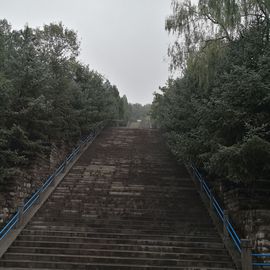 ▄︻┻┳━•主播照片