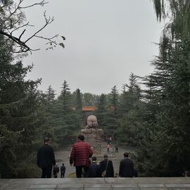 ▄︻┻┳━•主播照片