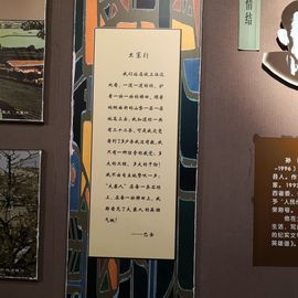 ▄︻┻┳━•主播照片