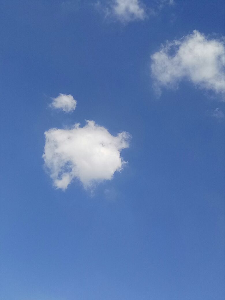 最凉不过故人心的图片