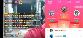 云南壹姐主播照片