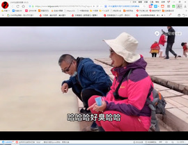 保利哥主播照片