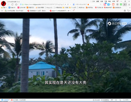 保利哥主播照片