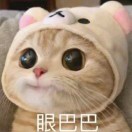 chriso2海报