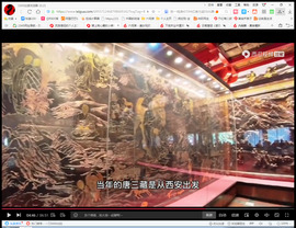 保利哥主播照片