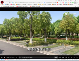 保利哥主播照片