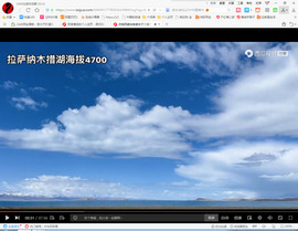保利哥主播照片