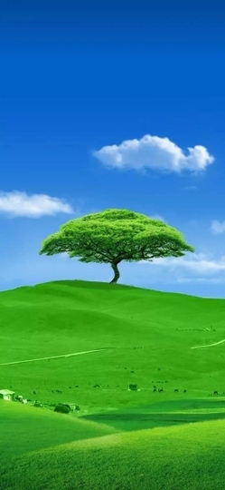 幸福美满！✌主播照片