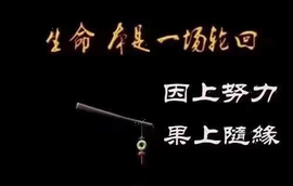 დ释怀დ主播照片