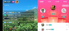 云南壹姐主播照片