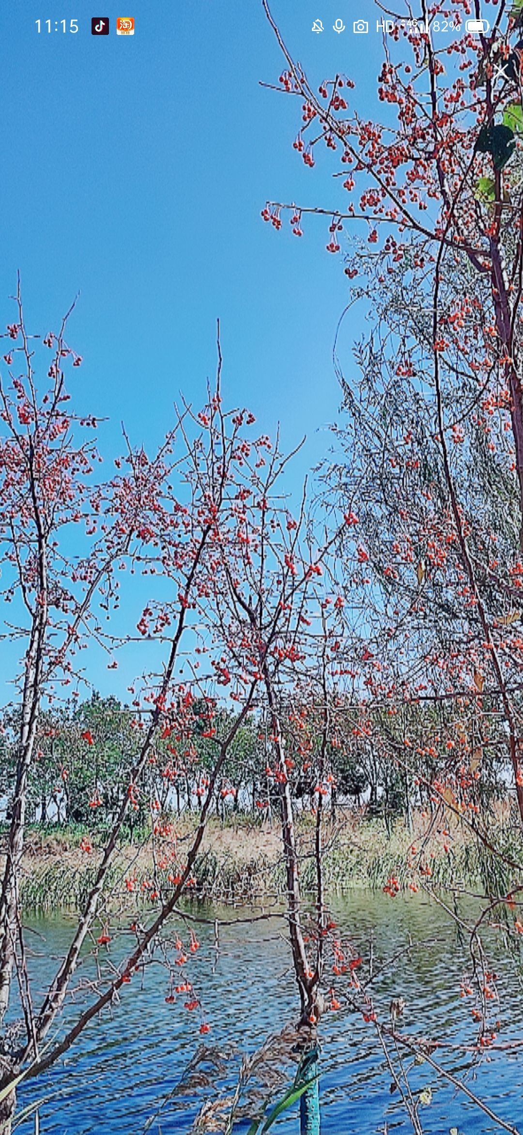 婷婷💕感恩有你陪伴的图片