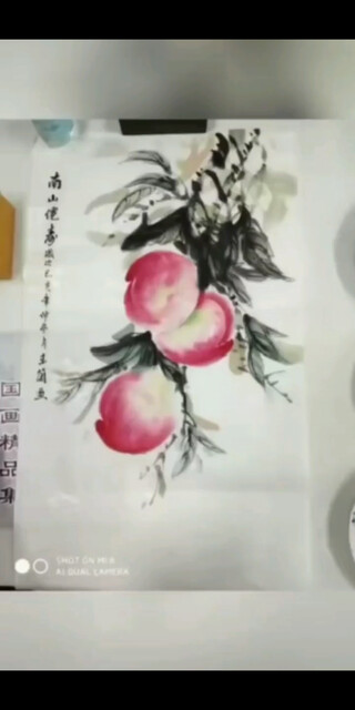 玉兰国画作品