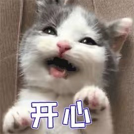山间的月亮主播照片