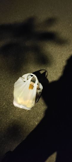 花无缺的故事结束啦主播照片