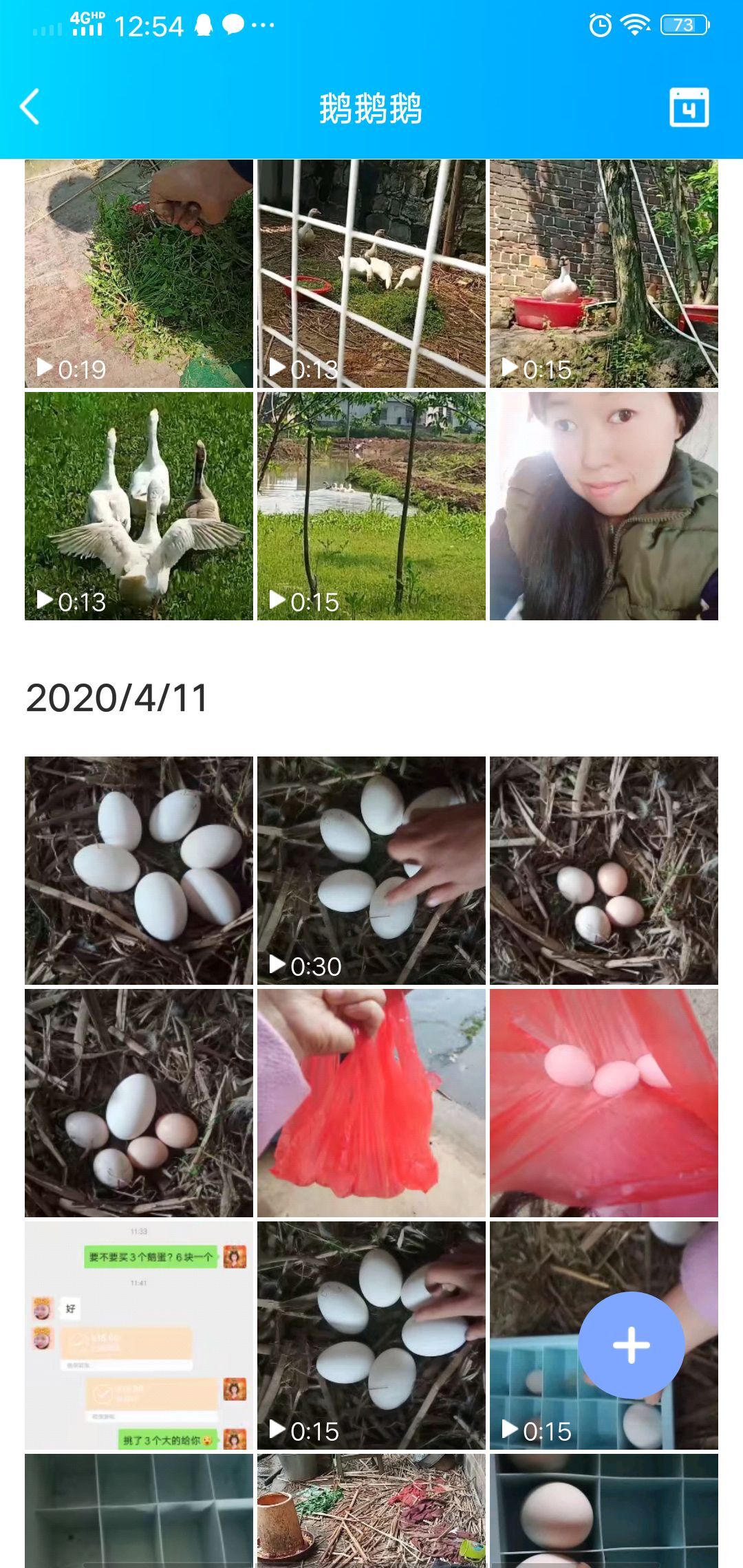 果果(平安好运)的图片