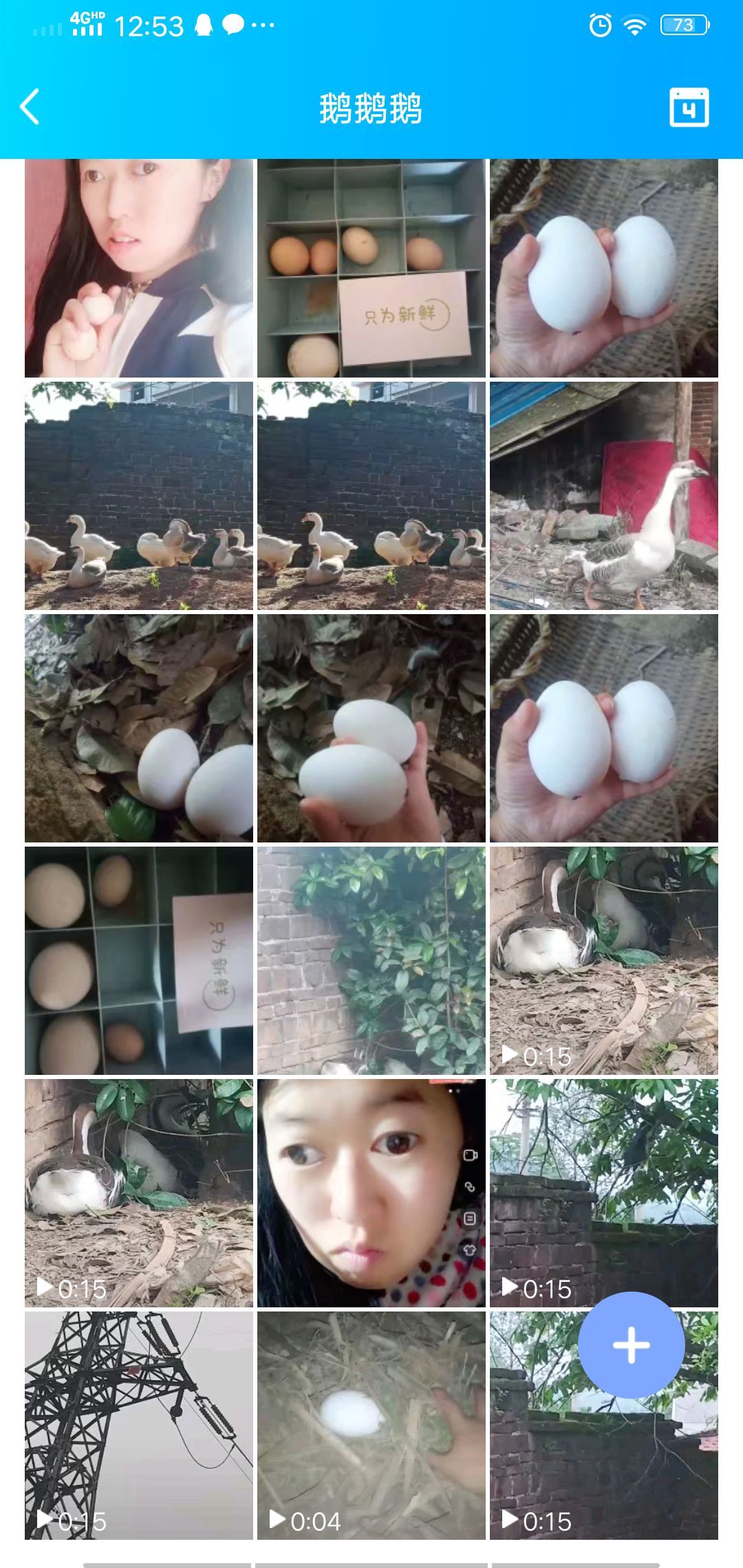 果果(平安好运)的图片