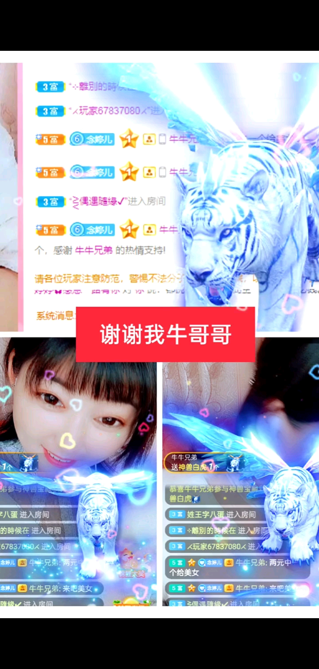 十一月感恩有你