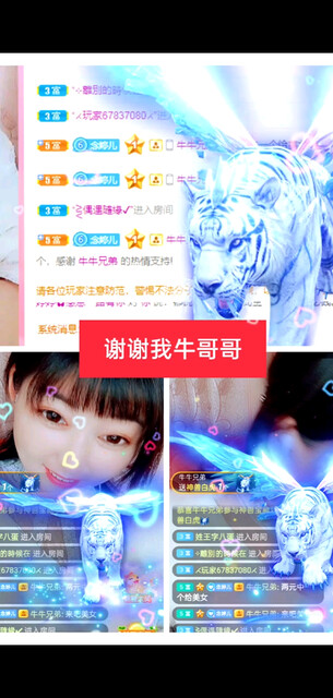 十一月感恩有你