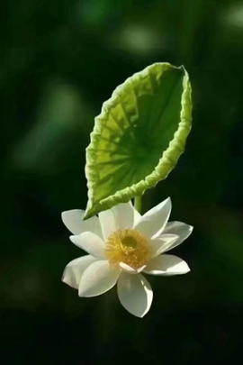 დ释怀დ主播照片