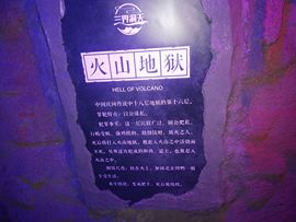 送朵花插坟头上主播照片