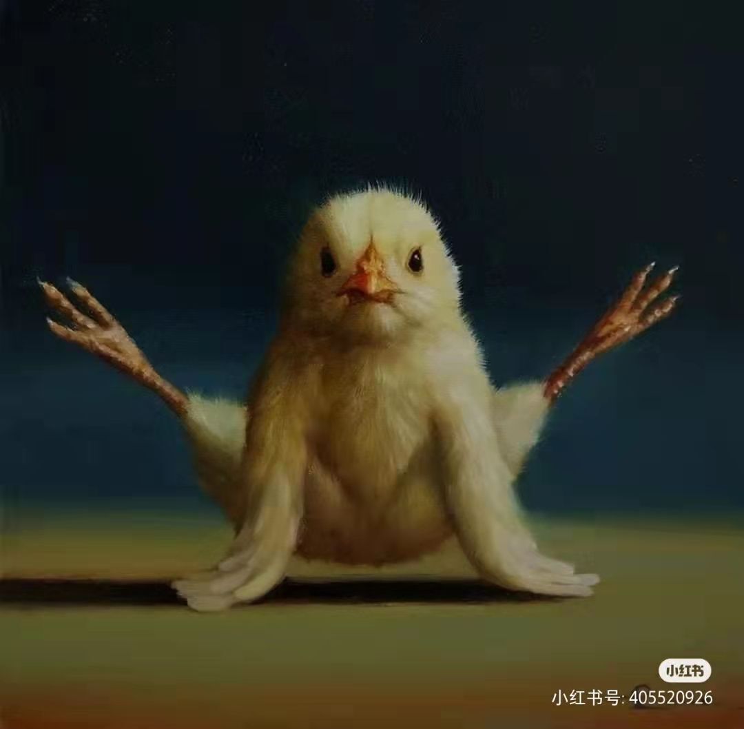 丑小鸭💞愿有一束光的图片