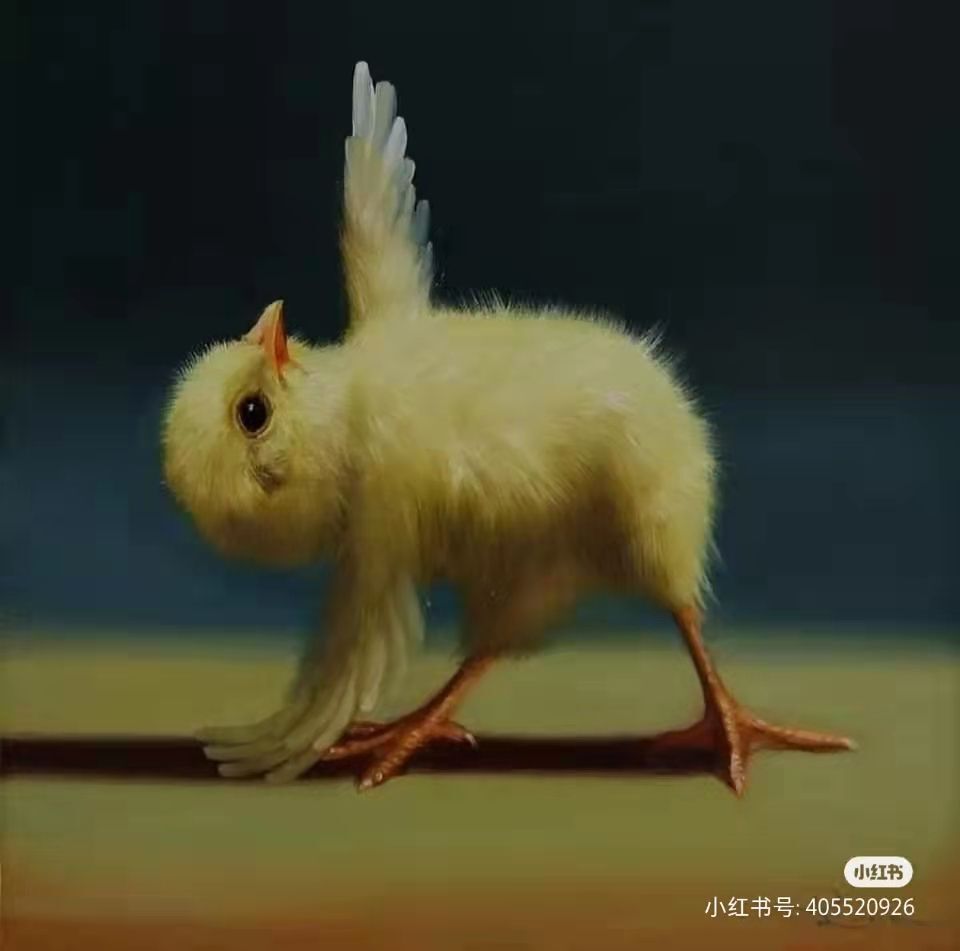 丑小鸭💞愿有一束光的图片