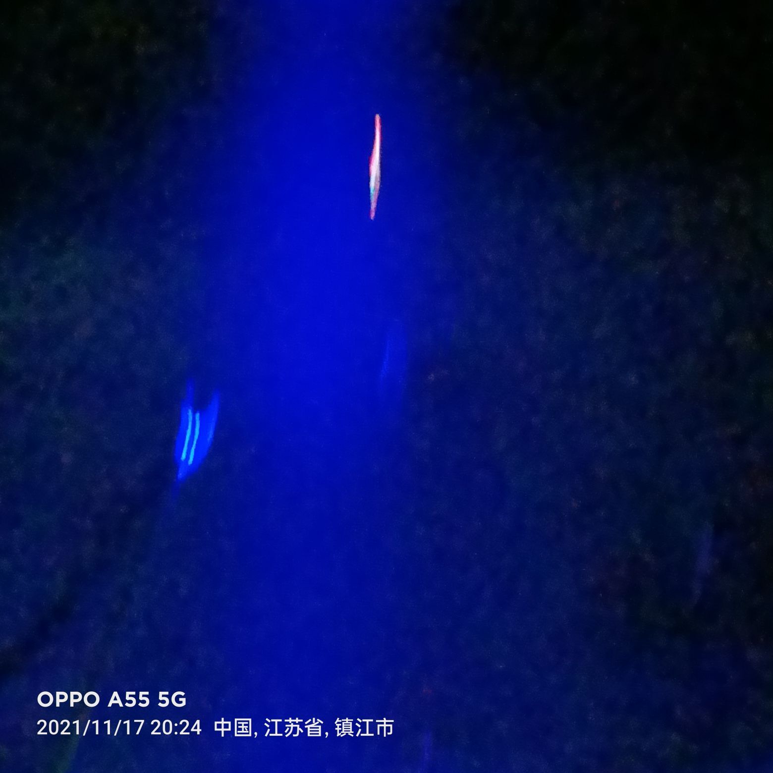九齒釘耙豬八戒的主播照片