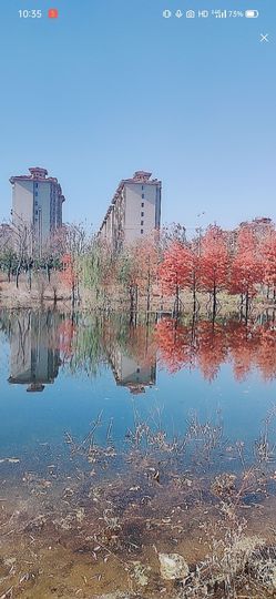 婷求六架飞机升级的图片