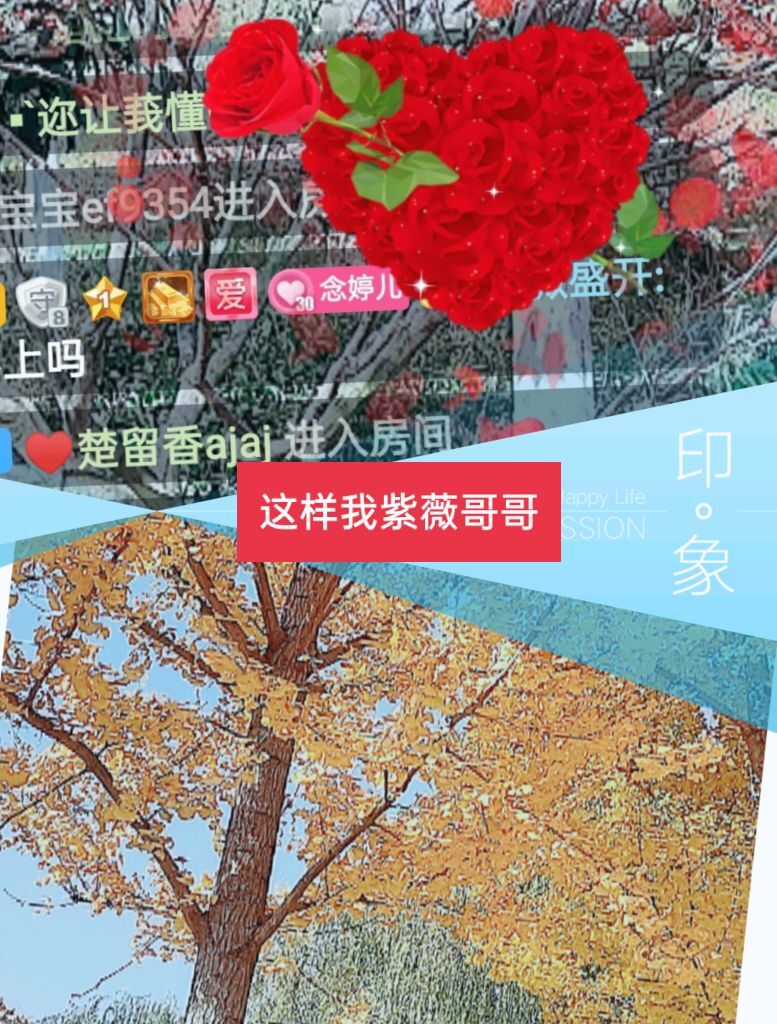 婷婷💕感恩有你陪伴的图片