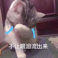 新人宝儿31号播主播照片