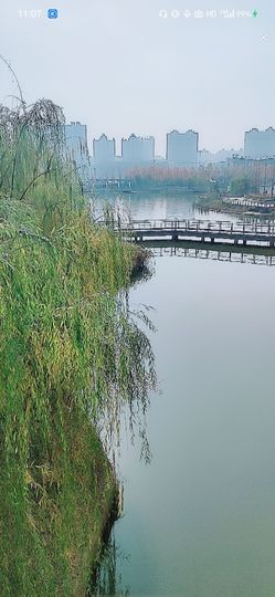 婷求六架飞机升级的图片