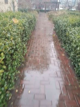 💞天宝💞💃🎤主播照片