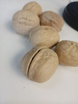 心中无结。。主播照片