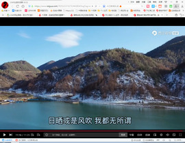 保利哥主播照片