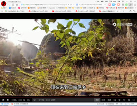 保利哥主播照片