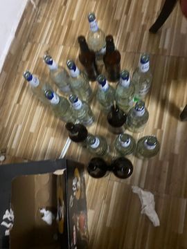 苦情种的图片