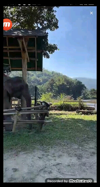 喂