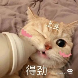 一树梨花压海唐同学☞主播照片