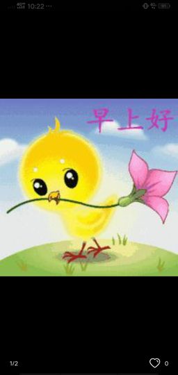 果果(平安好运)主播照片