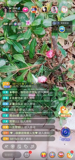 果果(平安好运)主播照片