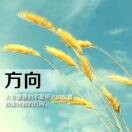 回忆似风不可追v