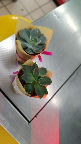 yisun主播照片