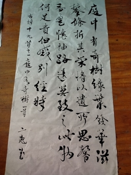 樂樂牌豌豆尖主播照片