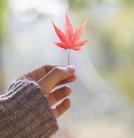 六月皮皮贪财还好色主播照片