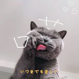 猫猫🌸一秒召唤喵～主播照片