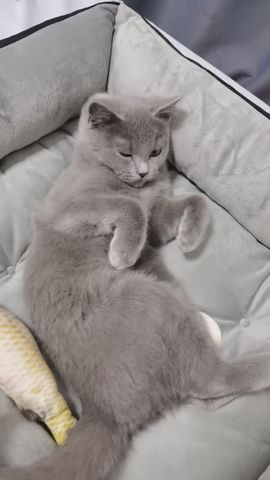 阳阳💕晚上见主播照片