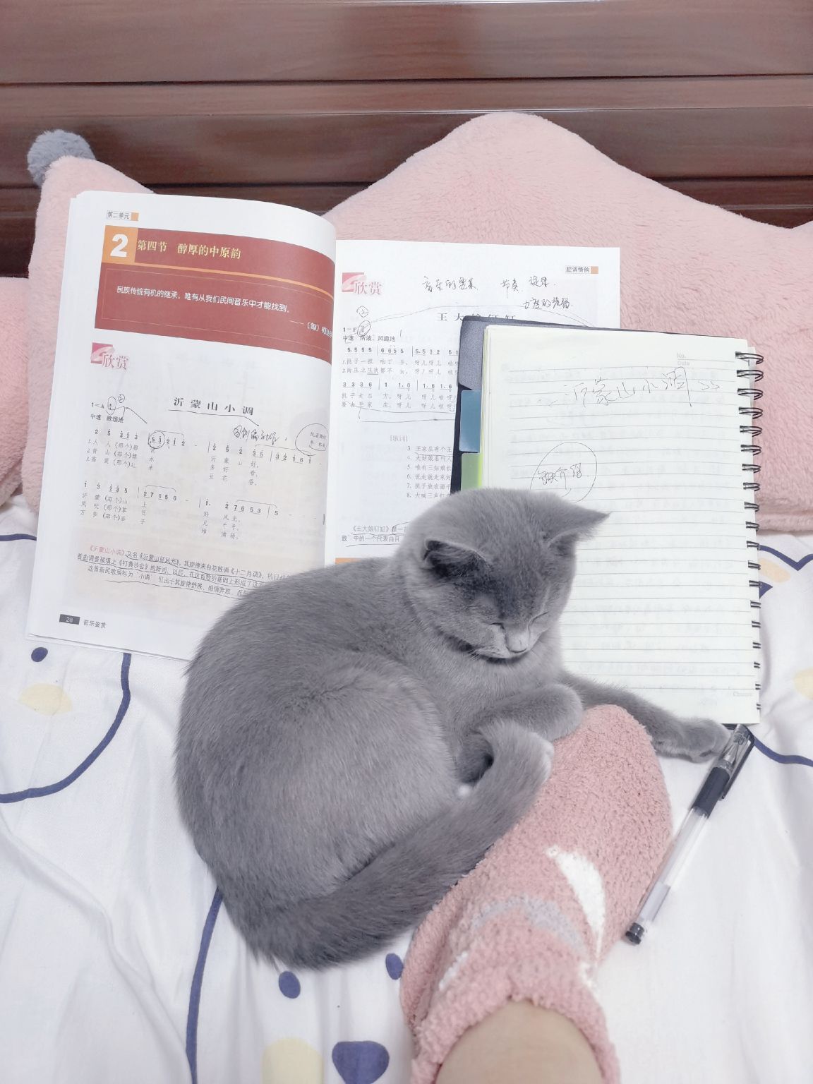 阳阳🌾休的图片